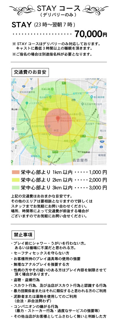ニューハーフヘルス | DE LA FELICE | デラフェリーチェのSTAYコース料金・システムです